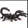 Schleich  Emperor Scorpion 14857 Animal Figure Image 7