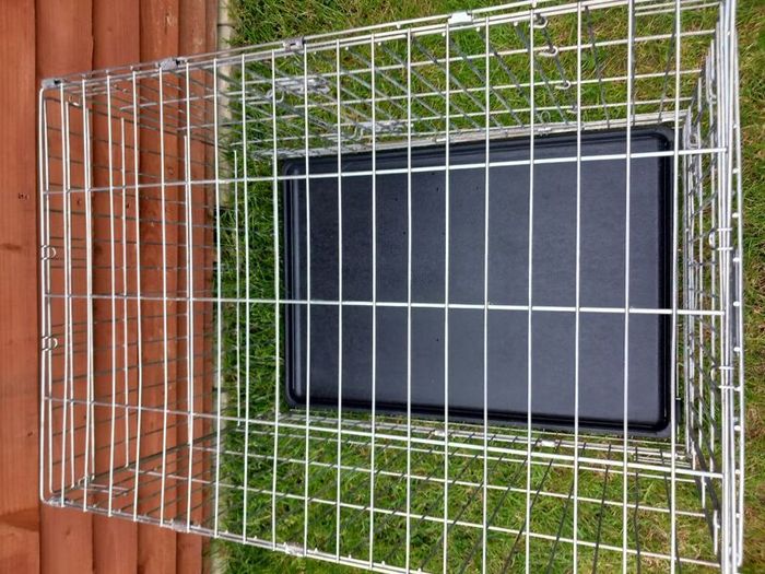 medium dog travel crate