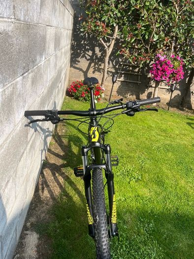 Adult Bike