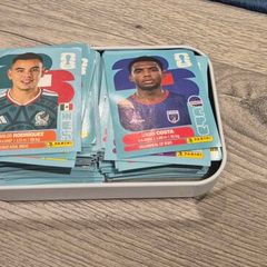 Panini World Cup stickers