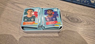 Panini World Cup stickers