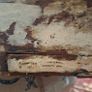 Antique Moravian Missions Collection Box Image 5
