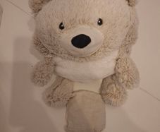Dunnes Stores Teddy Bear Hand Warmer