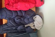 3 x children's coats