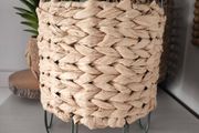 plant pot