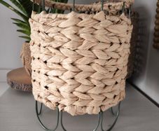 plant pot