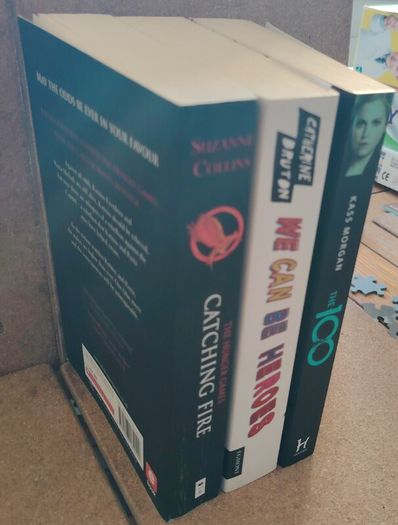 YA Dystopian & Teen Fiction Book Bundle (The Hunger Games, The 100)