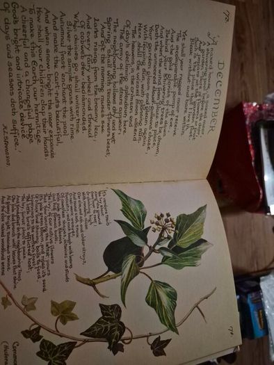 Vintage The Country Diary of an Edwardian Lady