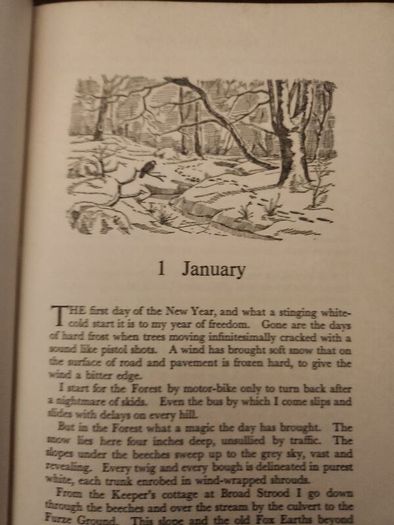 A Forest By Night. By Fred J. Spackman (authir Of A Poachers Tale). First Editions 1965 Hardback With Dustjacket In Good Condition  37.