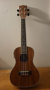 Freshman Electro Ukulele