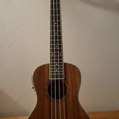 Freshman Electro Ukulele