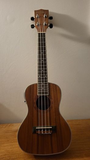 Freshman Electro Ukulele
