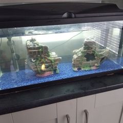 fish tank