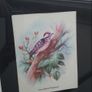 Wall Picture - Woodpecker Image 4