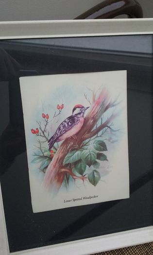 Wall Picture - Woodpecker