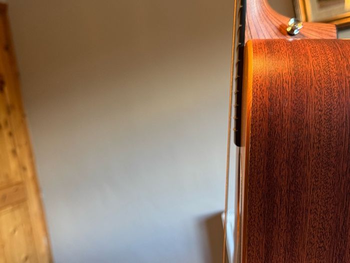 MARTIN D12X1AE - 12 string guitar