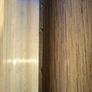 Swiss Bayonet Image 6