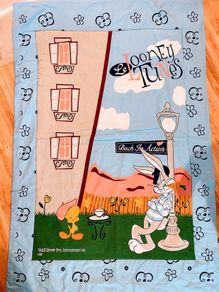 Kids duvet (unisex) Warner bros.