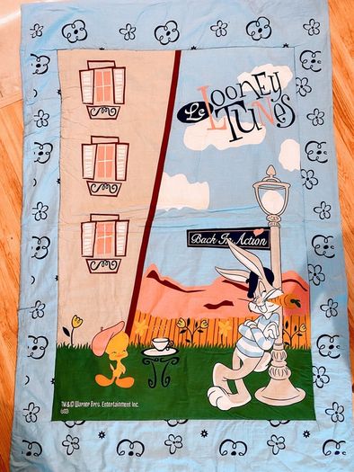 Kids duvet (unisex) Warner bros.
