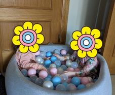 Kids ball pool