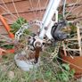 women's bike Image 9