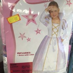 Rainbow Princess costume