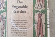 The Vegetable Garden