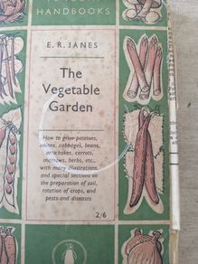 The Vegetable Garden