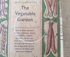 The Vegetable Garden
