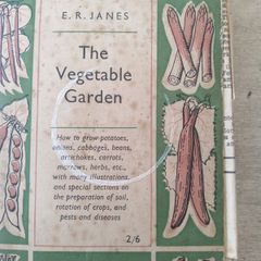 The Vegetable Garden