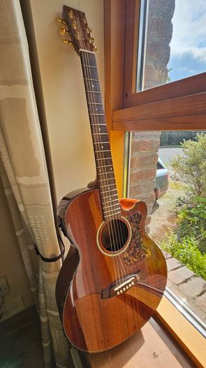 Tanglewood Sundance TW47E