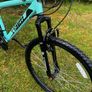 TEAM GX-26 Mountain bike Image 5