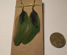 Costume Earrings