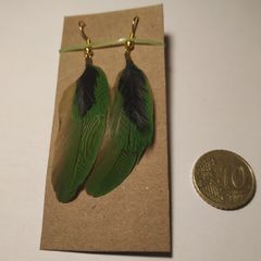 Costume Earrings