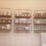 Shelves Image 6