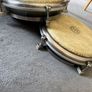 Pearl Tavel Congas Image 8