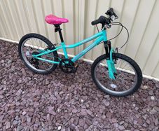 Apollo 20" Kids bike