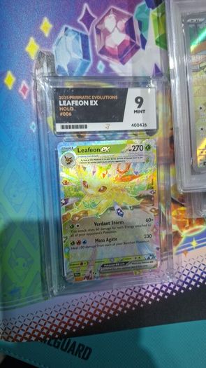 Graded Pokemon cards