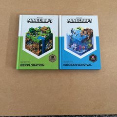 Minecraft books