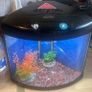 large light up fish tank Image 2