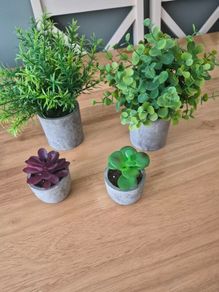 Artificial plants & pots