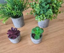 Artificial plants & pots