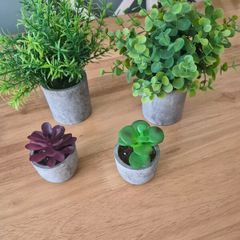 Artificial plants & pots