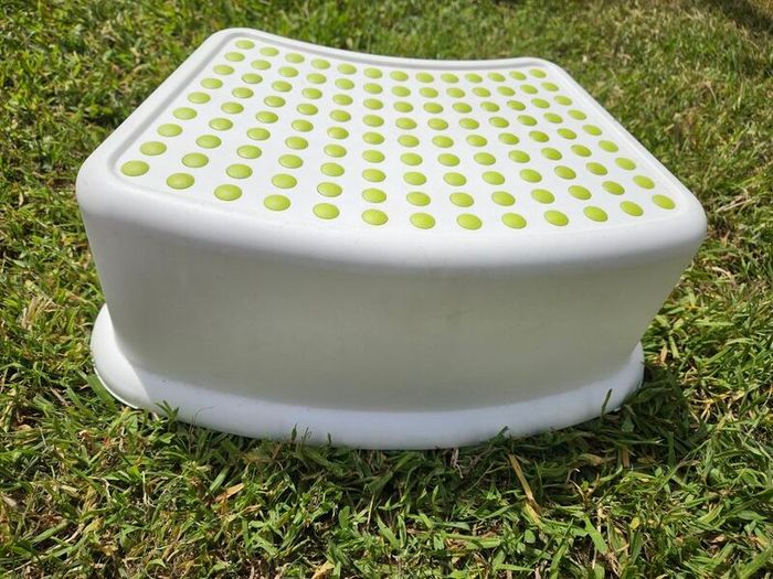 toddler toilet seat and step