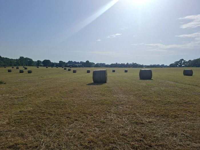 Round Bales of top quality hay for sale