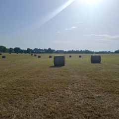 Round Bales of top quality hay for sale