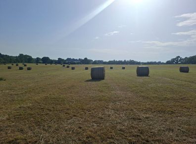 Round Bales of top quality hay for sale
