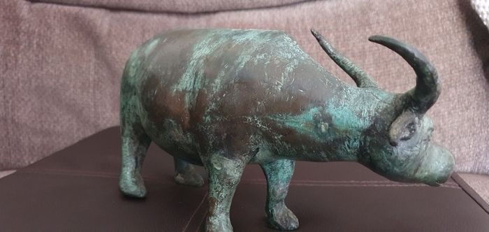 Cooper  cow (bull)