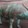 Cooper  cow (bull) Image 6