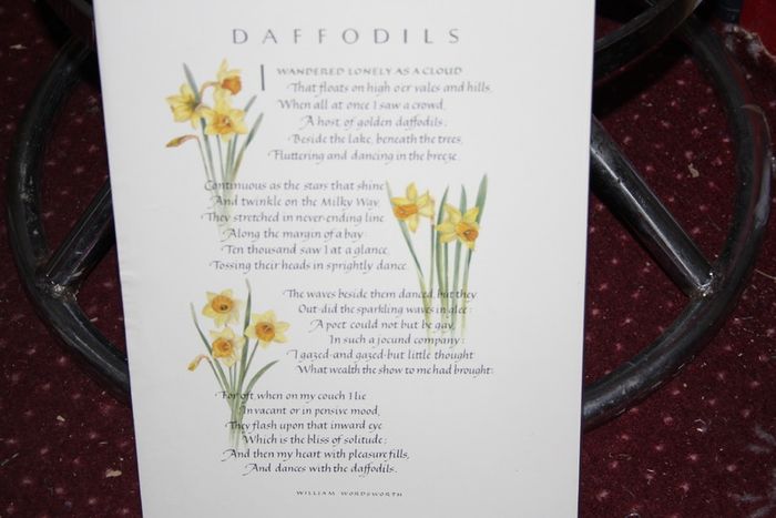 DAFFODILS